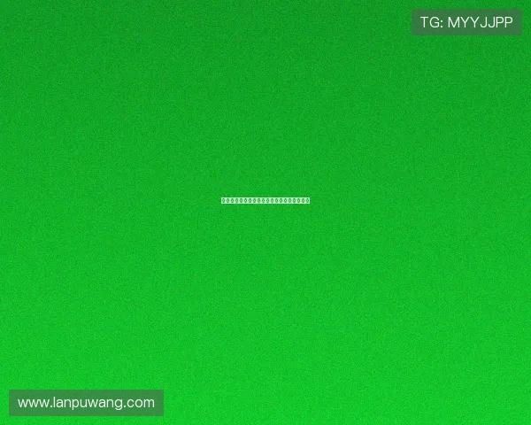 法甲升班马崛起之路：新赛季挑战与机会并存